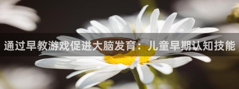 沐鸣娱乐2官方平台投诉：通过早教游戏促进大脑发育：儿童早期认知技能