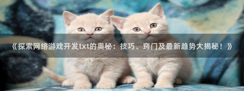 沐鸣2登录测速：《探索网络游戏开发txt的奥秘：技巧、窍门及最新趋势大揭秘！》