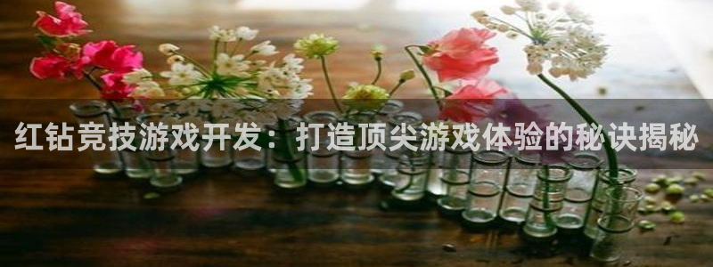 沐鸣娱乐2手机下载：红钻竞技游戏开发：打造顶尖游戏体验的秘诀揭秘