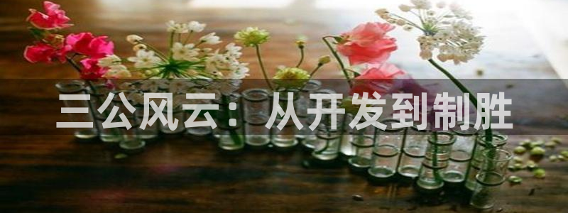 沐鸣娱乐2登录平台是什么软件：三公风云：从开发到制胜