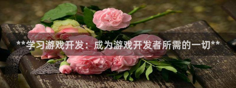 沐鸣2客服：**学习游戏开发：成为游戏开发者所需的一切**
