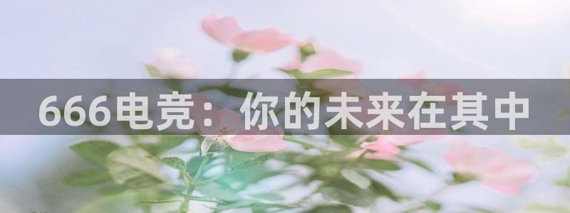 vk威客电竞：666电竞：你的未来在其中
