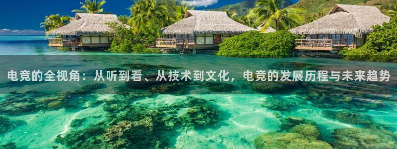 威客电竞vkgame官网：电竞的全视角：从听到看、从技术到文化，电竞的发展历程与未来趋势