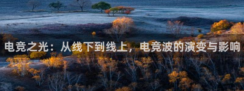 威客电竞网页版入口：电竞之光：从线下到线上，电竞波的演变与影响