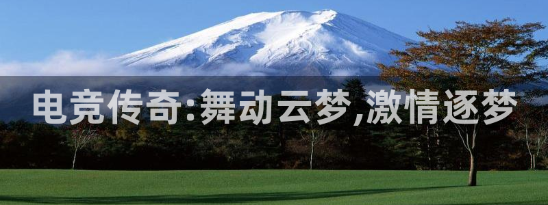 威客电竞集团：电竞传奇:舞动云梦,激情逐梦